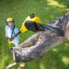 Best Pest Control for Lawns  in Avoca, IA